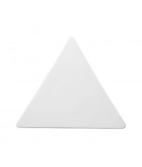 Triangular Plate